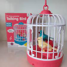 Talking Bird Toy for Kids | Interactive Toy & Repeat What You Said | Singing & Chirping in The Birdcage | Gifts for Babies, Kids & Children